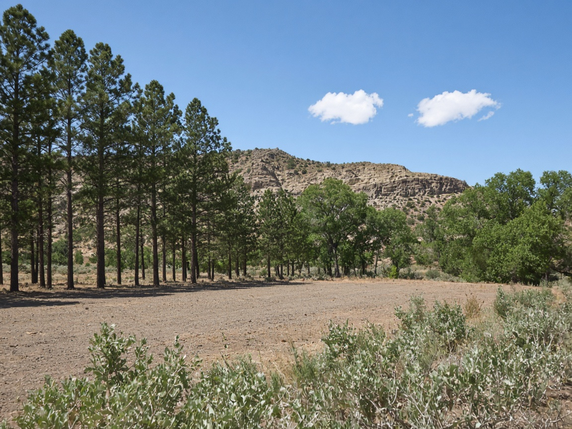 Dry daylight at a yard edge in the Eagle Valley
